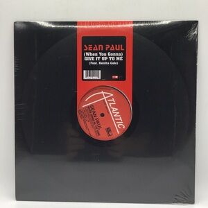 Sean Paul Vinyl Record